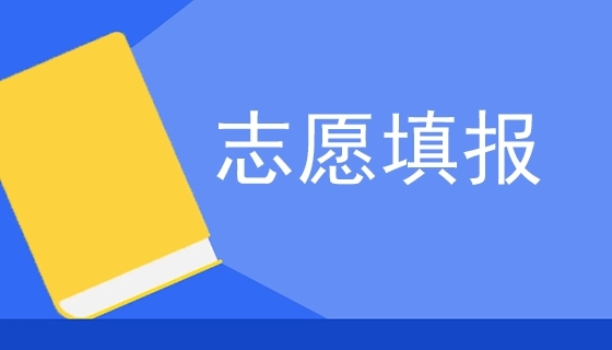 2024河北单招每人可以填报几所院校?